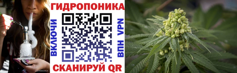 Купить закладку Торопец КОКАИН  omg зеркало  Бошки Шишки  Лсд 25  МЕФ  АМФЕТАМИН  A-PVP 