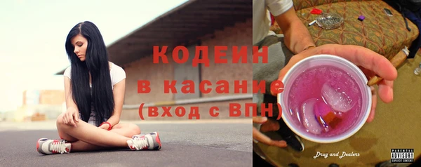 гашик Алексин