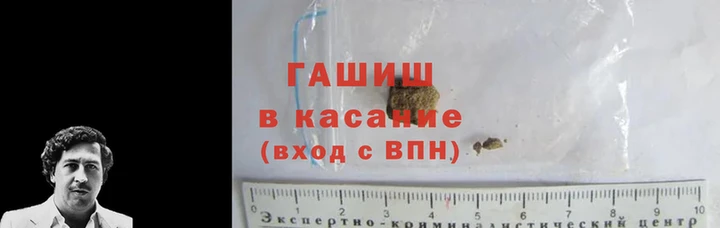 гашик Алексин