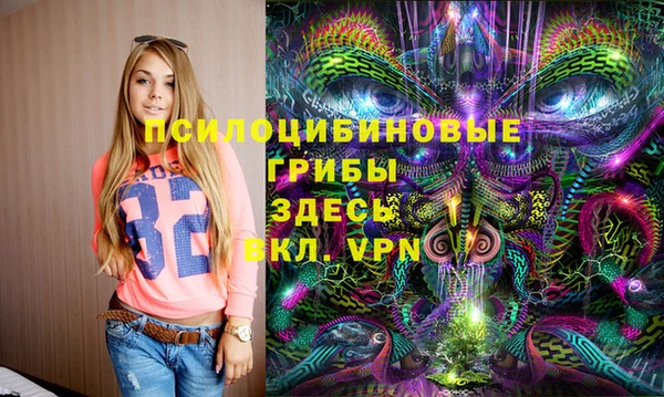 гашик Алексин
