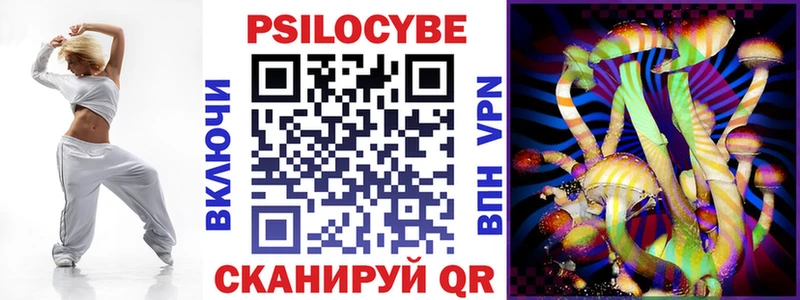 Псилоцибиновые грибы GOLDEN TEACHER  купить наркоту  МЕГА сайт  Торопец 